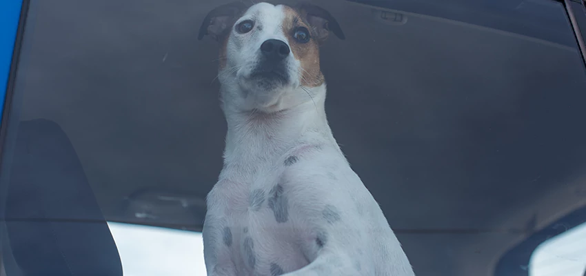 Car Lockout Solutions in Calistoga, California