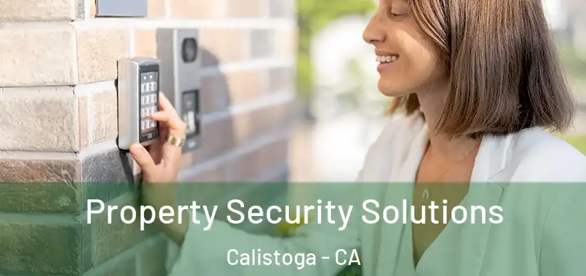  Property Security Solutions Calistoga - CA